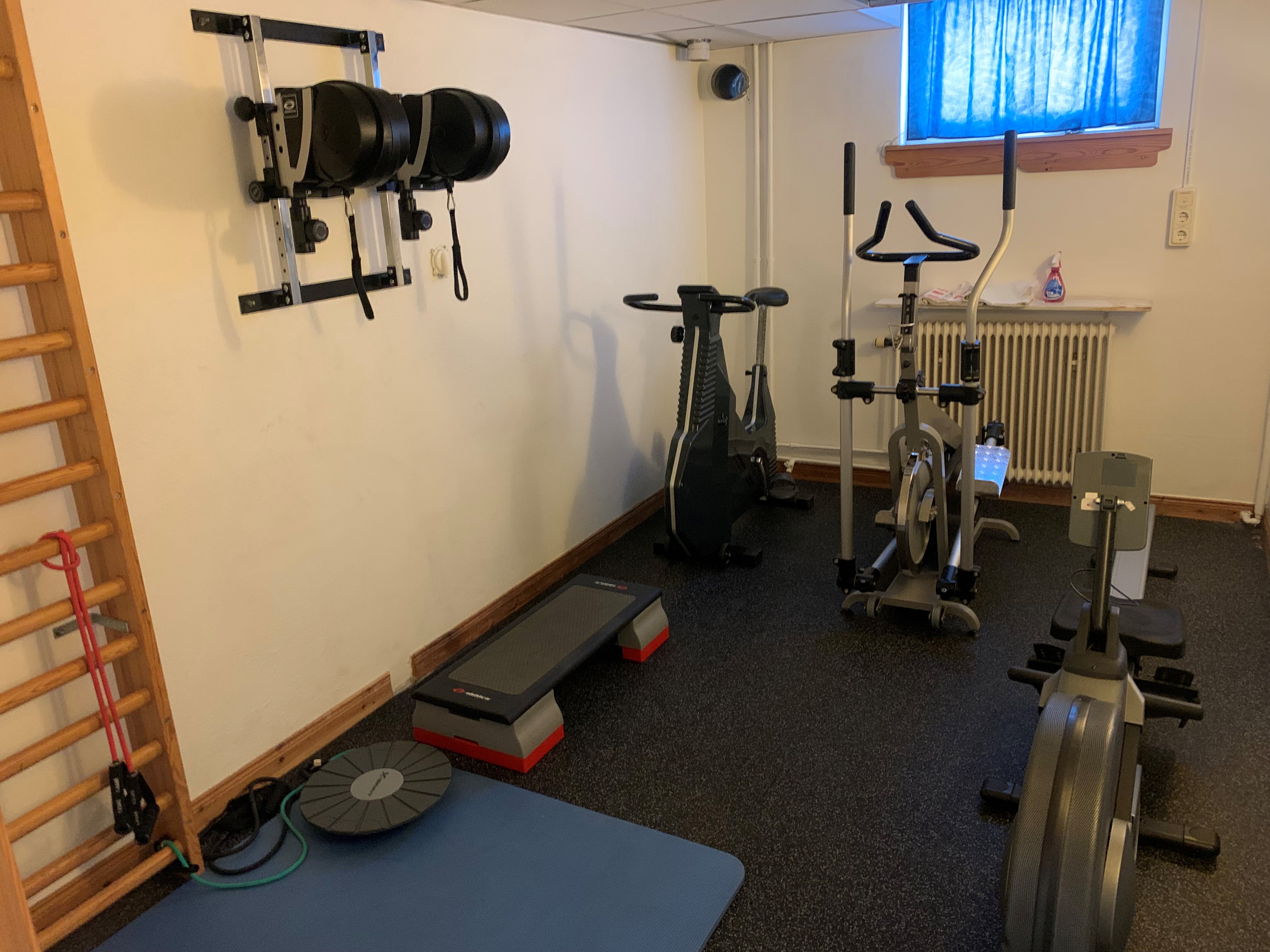 panthera gym i Alunda